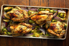 将图片加载到图库查看器,嫩雛雞