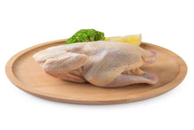 将图片加载到图库查看器,嫩雛雞