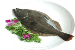 Rex Sole Fish