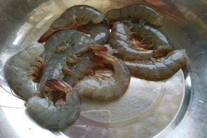 Shell-On Headless Shrimp