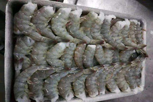 Shell-On Headless Shrimp