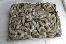 Load image into Gallery viewer, Shell-On Headless Shrimp
